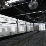 Hydroponic Plant Growing Mini Tunnel Greenhouse Blackout Systems