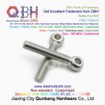 QBH DIN444 Stainless Steel SS304 SS316 SUS 304 316 Swing Eye Bolt Eye-Bolt