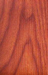 China Water Resistant 9mm Thickness SGS Kitchen Wall Panels factory