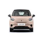 Leapmotor T03 Electric Vehicle Mini EV Cars NEDC 403km Range