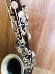 High-end saxophone, E flat, children, beginners, adults, playing musical