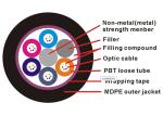 Non Metallic GYFTY Fiber Optic Armoured Cable G652D 12 24 30 48 Core PE HDPE