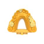 Odorless Composition Of Permanent Crown Bridge Resin For Pleasant Experience