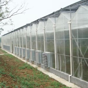 China Multispan Polycarbonate Tunnel Greenhouse For Vegetables Growing on sale