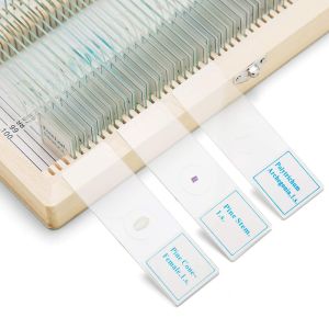 100pcs/set Prepared Microscope Slides Specimens Slides Set with Wooden Case