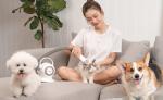 Low Noise Pet Grooming Vacuum Cleaner for Multi-purpose Grooming of Cats and