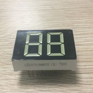 20mm White Color 2 Digit 7 Segment LED Display for Digital Water Heater