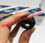 Common Rail Diesel Fuel Injector Assy 0445120219 0986435528 51101006127