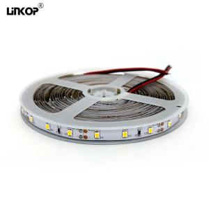 China LED 2835 Outdoor Waterproof Light With 12v 60 Lamp Ip68 Home Lighting Decorative Lamp factory