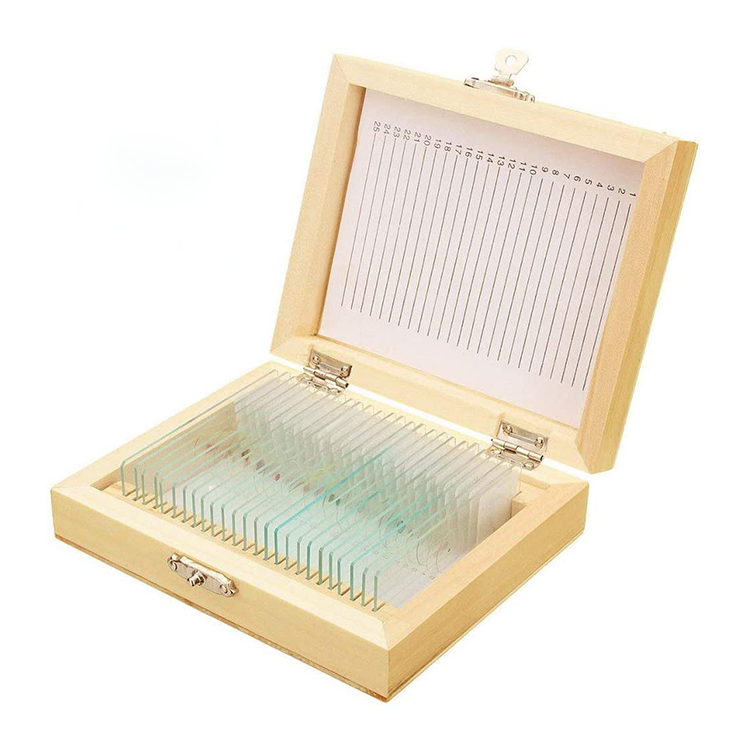 Hot Sale 25pcs Glass Human Prepared Histology Microscope Slides wooden set for Lab Research