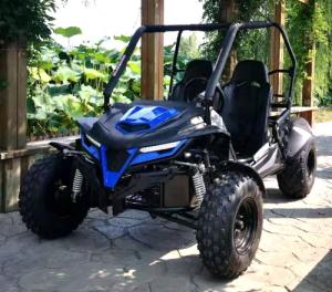 China 6000rpm GY6 Engine 2.64 Gal Gas Utility Vehicles factory