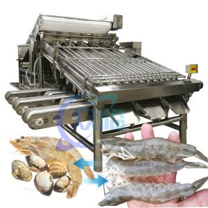 China Stainless Steel Shrimp Grading Machine Practical 6000x4000x2200mm factory
