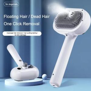 China Pet Steam Brush Cleaning Hair Massage Brush Self Cat Clean Dog Spray Hair Removal Comb factory