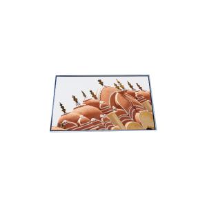 China P460HVN04.2 46.0 inch 1080p LCD Screen Display for Digital Signage factory