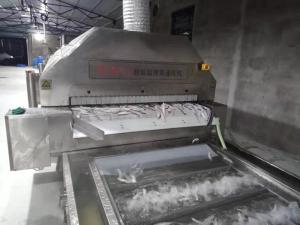 China Fast Freeze Chest Quick Freeze Freezer Seafood Meatfish 2800 Kg/H 3500 Kg/H factory