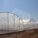 Easy Installation Customized Tunnel Greenhouse with Hot Galvanized Steel