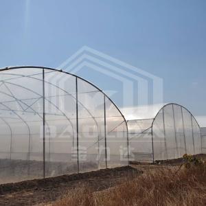 China Easy Installation Customized Tunnel Greenhouse with Hot Galvanized Steel Structure and PE Film factory