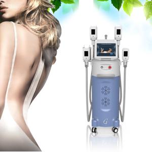 China 4 Handpieces Vertical Loss Weight Freezing Fat Cryolipolysis Slimming Machine factory