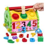Kids Shape Sorter Wisdom House Wooden Montessori Bright