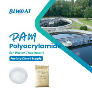 China Water Purification Chemicals Cationic Polyacrylamide Cpam White C3H5NO Industrial Waste Water Treatment factory