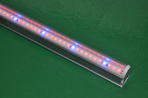 China T8 led tube grow lighting CE&amp;RoHS Certificate factory