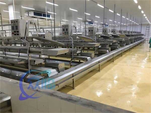 3.10KW Conveyor fish processing line Fish Descaling Production Line Catfish