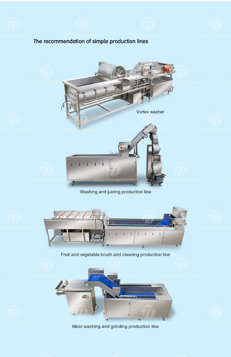 Tengsheng Fruit And Vegetable Washing Machine Pests Eliminating Saint Dragon Fruit