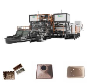 China Paddy Nursery Tray Machine Automatic Fiber Process Forming Machines factory