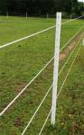 Round Pre Drilled Pultruded Fiberglass Rod Electric Fence Posts Rods