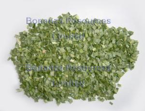 China Freeze Dried Leek factory