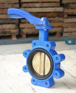 China GG25 DIN PN10 PN16 cast iron butterfly valve factory