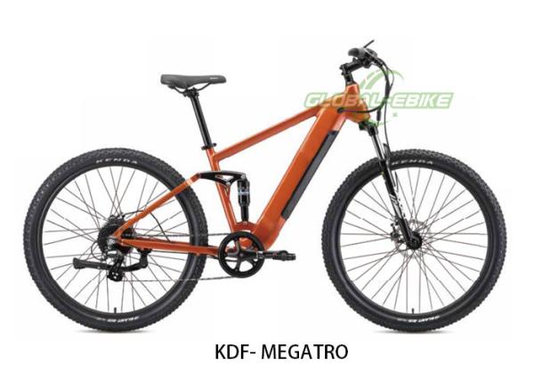 MegaTrail 29-Inch Electric Mountain Bike With 250W Motor And Hydraulic Disc