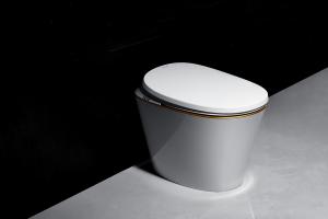 China Ceramic Material Auto Wash Toilet Warm Water Washing Remote Control Design Smart toilet factory