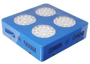 China High Power 216W Plant Grow Lights , Horticultural Grow Lights For Flowers Planting factory