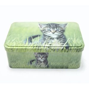 CMYK EN71 Rectangle Biscuit Tin Box With Logo Printed