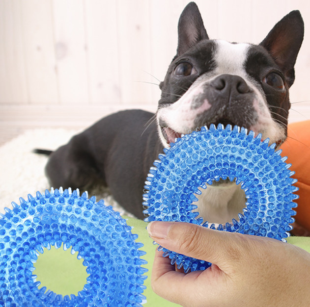 best chew toys