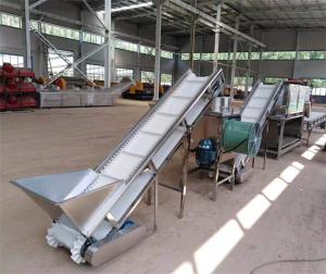 China garlic peeling machine, garlic peeling line, garlic processing machines factory