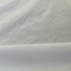 China 380t 36gsm Nylon Taslon Fabric 20dx20d Waterproof Nylon Fabric factory