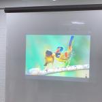 Window Advertising transparent holographic film clear rear projection film with