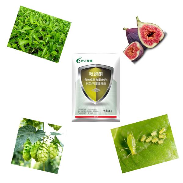 China 50% Pymetrozine WP Natural Vegetable Insecticide Kill Cabbage looper factory
