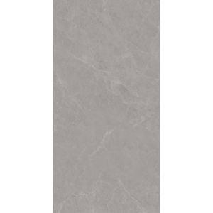 Gray Soft Glazed Porcelain Wall Tiles 600x1200mm AAA Grade