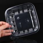 Pastry Preserved Fruits Square Clear Plastic To Go Containers For Bakery Cookie