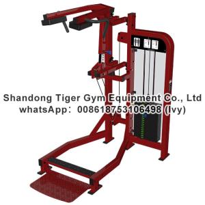 China Single Station Gym fitness equipment machine Standing Calf exercise machine factory
