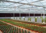 UV Treated Multi Span Woven 200 Micron Reinforced Greenhouse