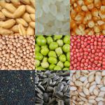 SLY-C Automatic counting machine for rice, wheat, rapeseed, vegetables, flowers,