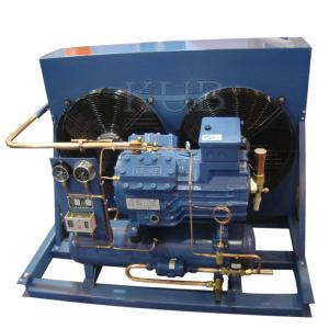 China V2084Y sturdy and compact design Italy frascold condensing unit for cold room factory