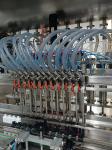 Hot Pet Bottle Shampoo Filling Machine 100-1000ml Automatic Filling And Capping