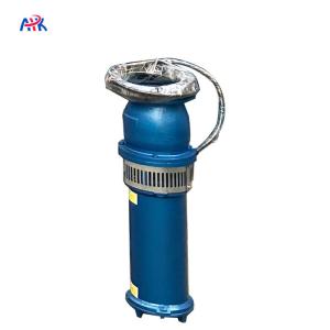China 220m3/H 5m Horizontal Irrigation Water Submersible Pump factory