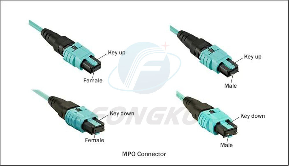 MPO APC singlemode 1 meter 10G fiber jumper 8 12 24core 40G100G 1310 1550NM support customization