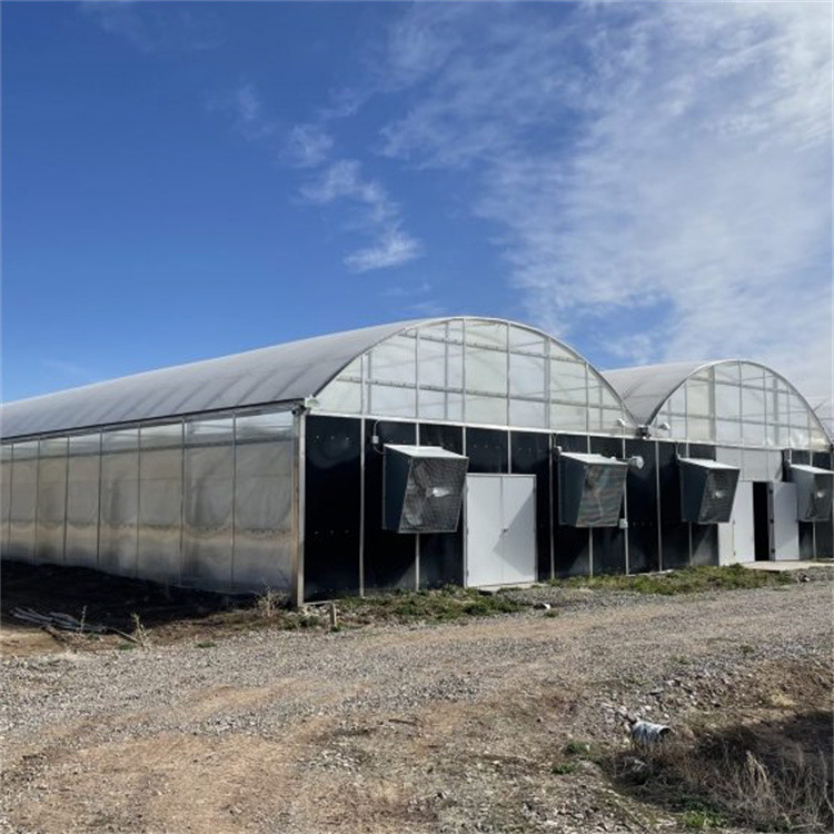 Hydroponic Plant Growing Polycarbonate Greenhouse Light Deprivation